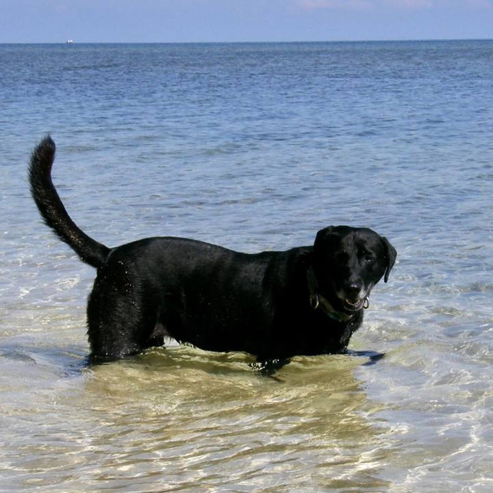 C44ecd2c 6af7 49b3 b4c3 1390ec4170e3 1692947359422