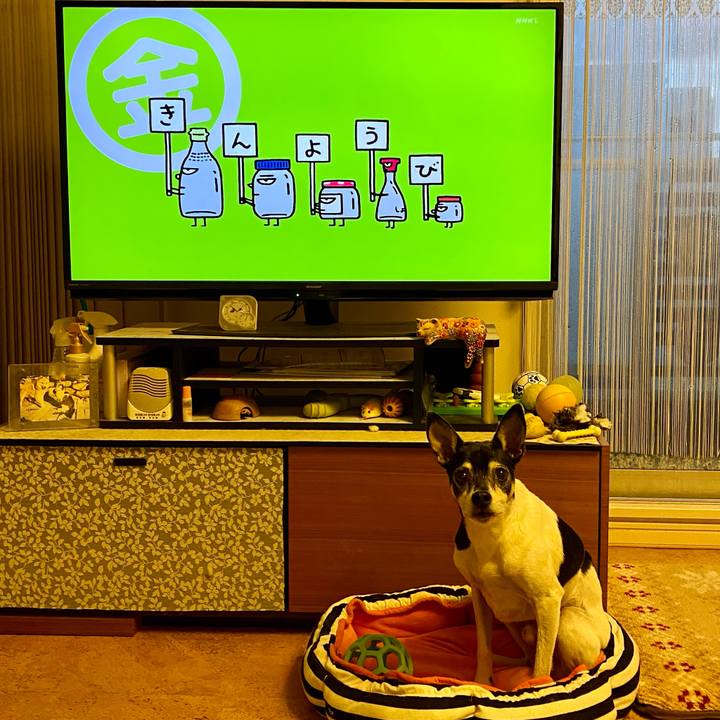 C44eefd1 9d8f 43a3 a9a6 255bab4608ee 1610058152414