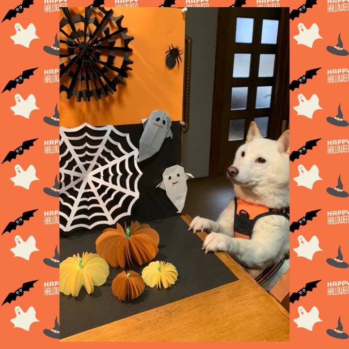 C44eff30 8fbb 4dc5 8579 e06f922291a8 1667216156859