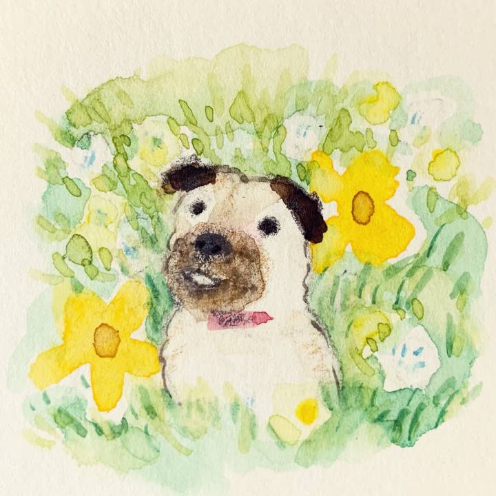 C44f531d 5084 4df6 a915 6f1cdb07fb18 1637670908980