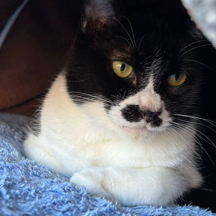 C44fa824 605f 4ba9 bf87 20b295bf734e 1766030903655