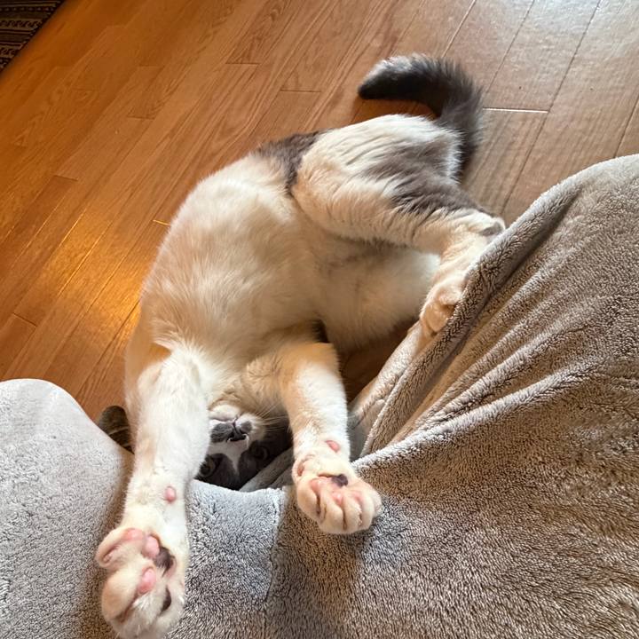 C44fc0bb 579c 4c99 bda1 fd5abbd76d17 1767142733966