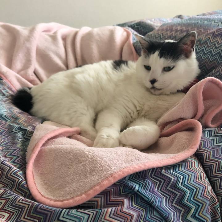 C44fe662 b07c 4fa2 9e87 07256f213f73 1554938587419