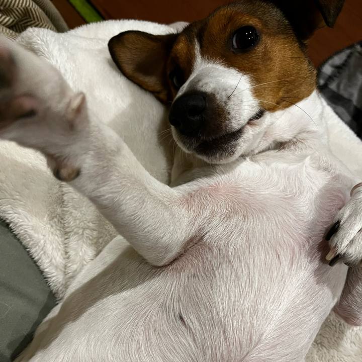 C44ff0e5 e8b2 4afd b0dd 70ca7418591c 1734526667166