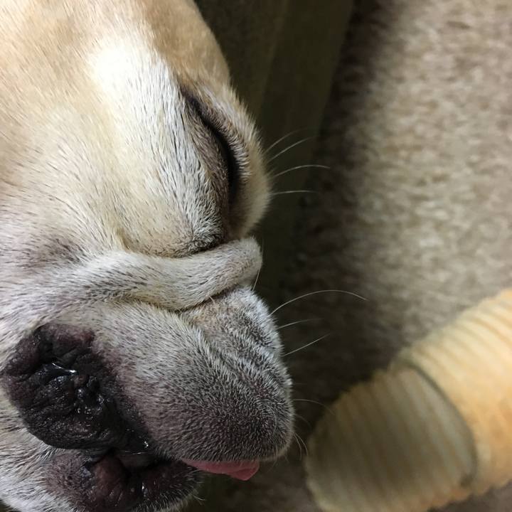 C44ffe63 e50f 4e35 ba2c da6dac8ac360 1508678945788