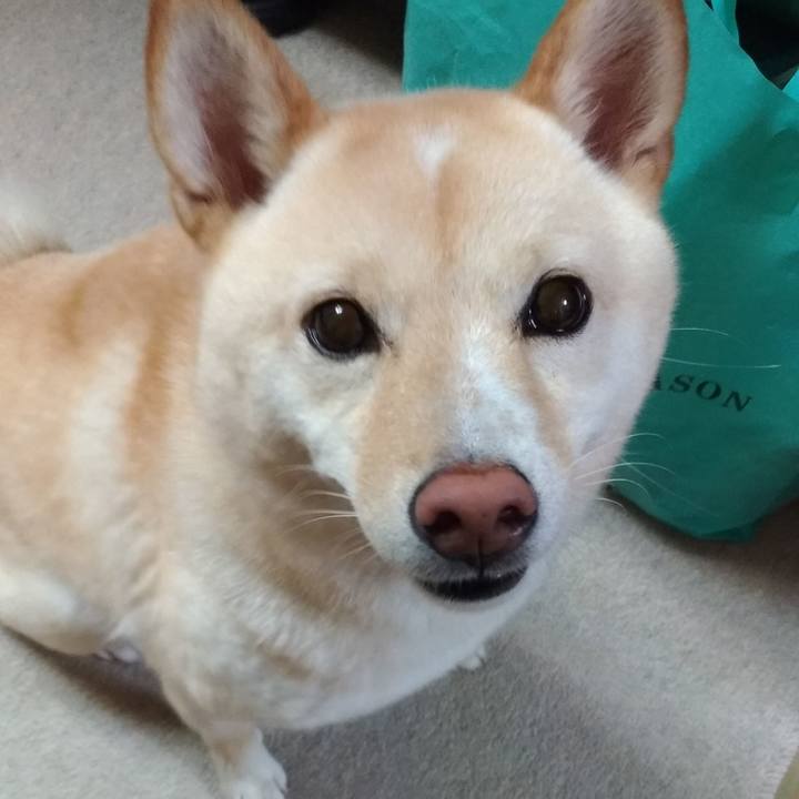 C4501361 2d15 4a90 8570 d945e6964d88 1567078363878