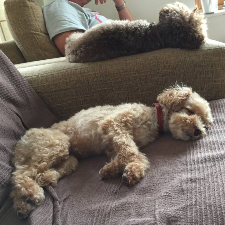 C45029ea 90bf 4147 8549 10701f4bdfcd 1533654853777