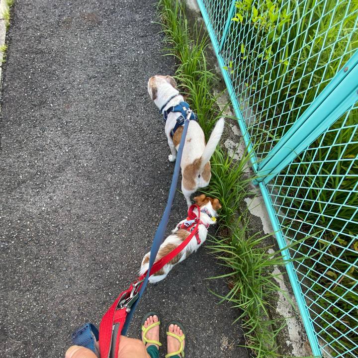 C4505517 b39d 44db 8649 9f682d057c51 1659738661289