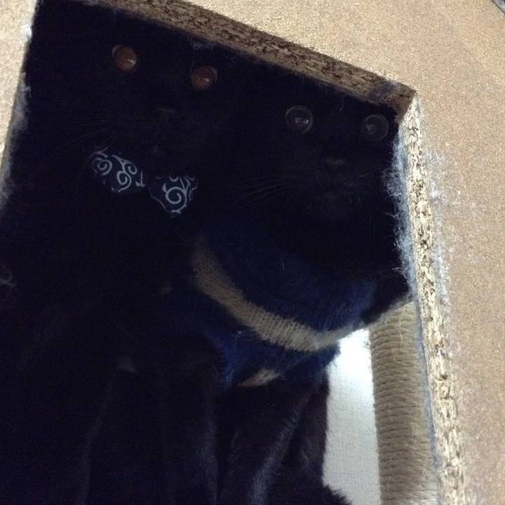 C4505f99 acec 4c81 8915 5c2199f43851 1549623812964