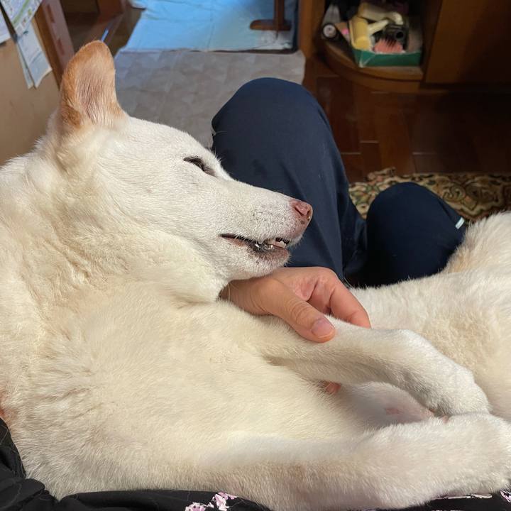 C4507dfe d3f3 45fa b370 8f2ec341e4ba 1637330001087