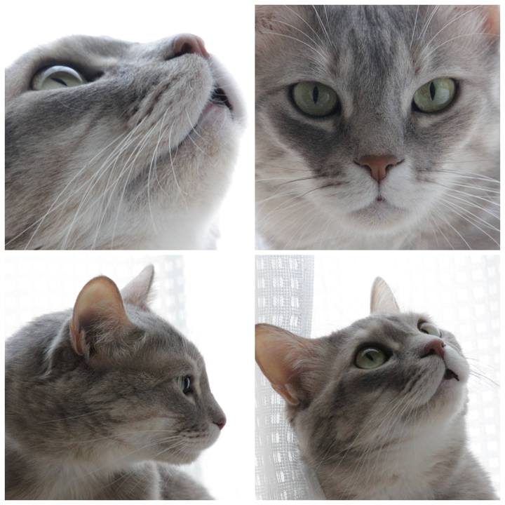 C450afcf 7b3a 4fa6 87bf dd4cae839a16 1613966759680