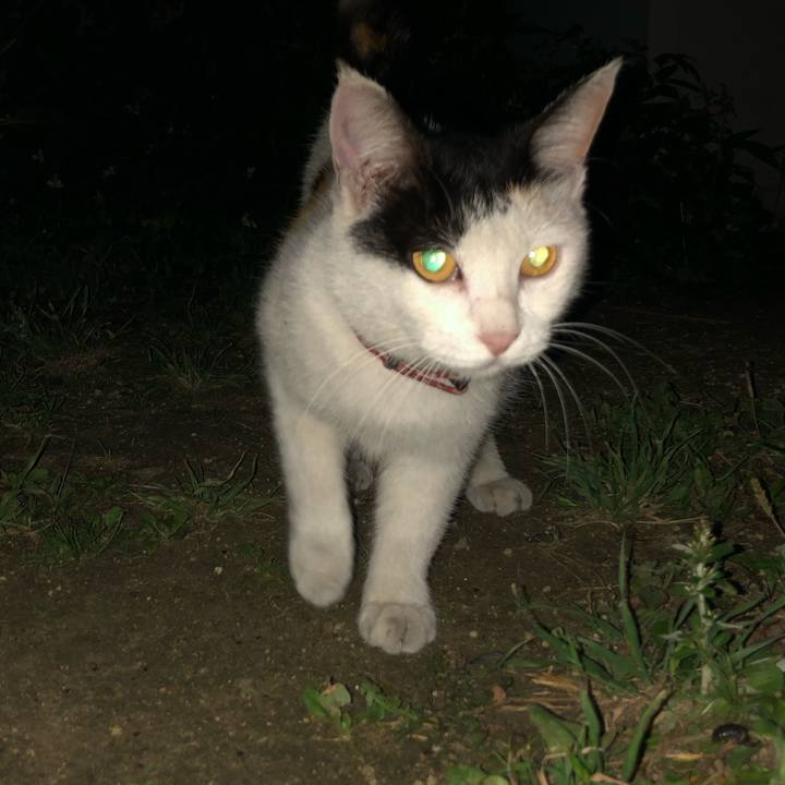 C450b79d 0092 4f19 82fc 1b9bc1060ba7 1623155642957