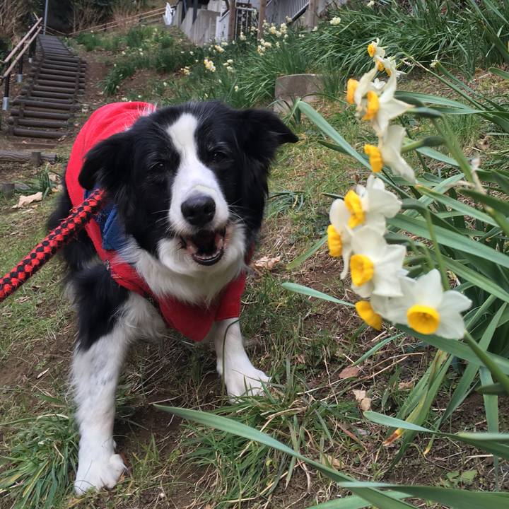 C450c9cd 47ea 47f2 8a25 e7b07e9e060c 1550280960991