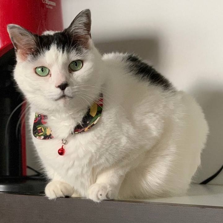 C450d959 affc 41ba b346 af9cb673328c 1652392001716