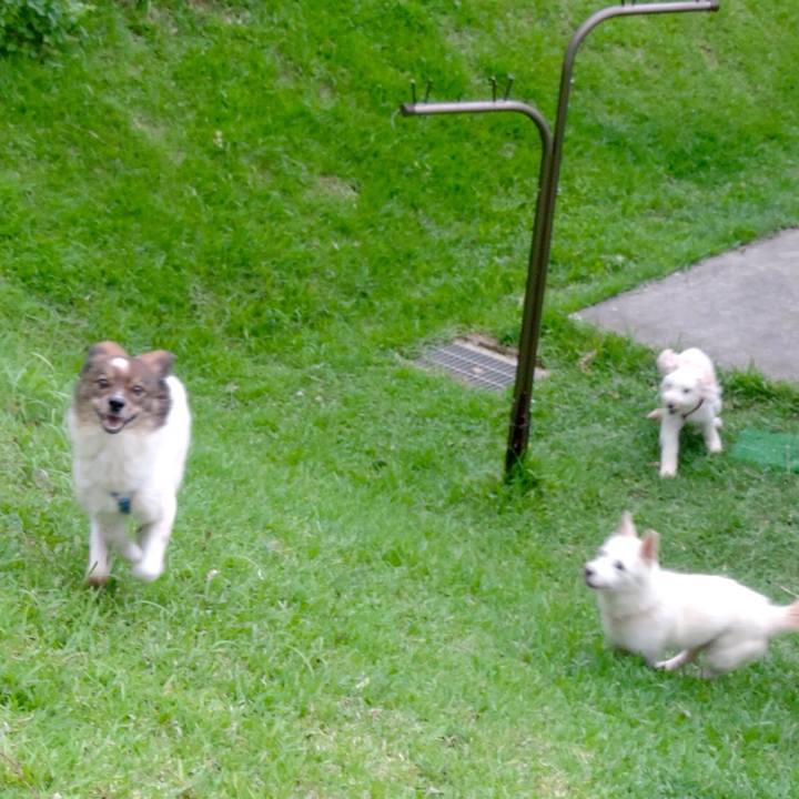 C450f3cb 8136 4045 ab58 226d3fd2d9f4 1531625871900