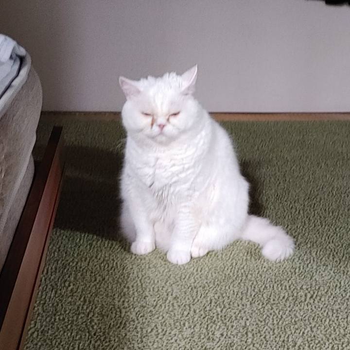 C451223d 8a15 4260 9261 c125c7dcd303 1699879630637