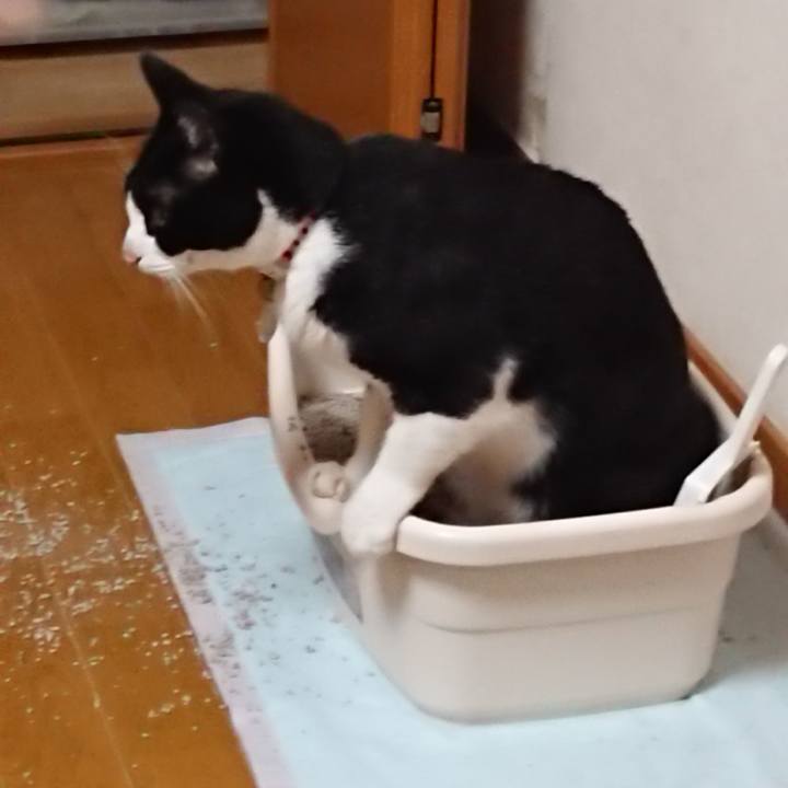 C45173f5 af4b 41e0 8f86 0bbd4336eb7d 1657407497956