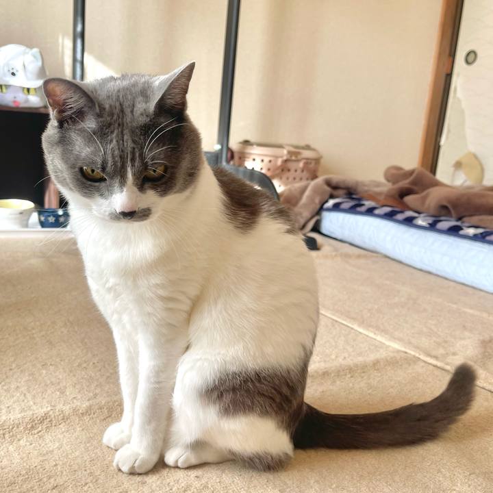 C4517f80 2a0b 4066 8247 6c380fd9ded1 1667778791540