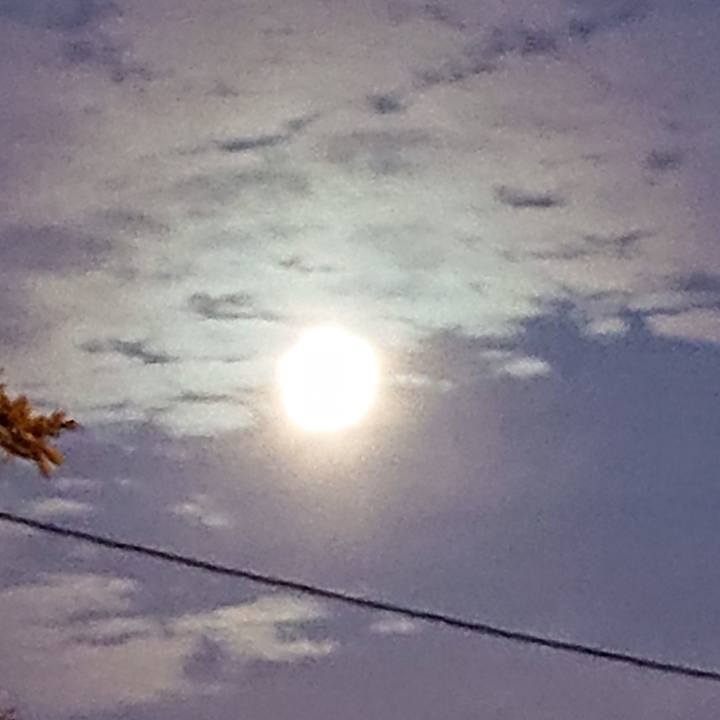 C451ab25 f1f5 4ed1 97ef 3702c65f7fa4 1576187982988