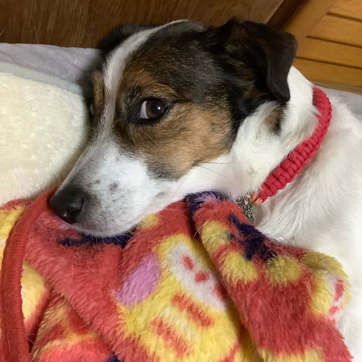 C451c7c4 a259 439e 9cf1 fdb5e5fbf250 1604579774905