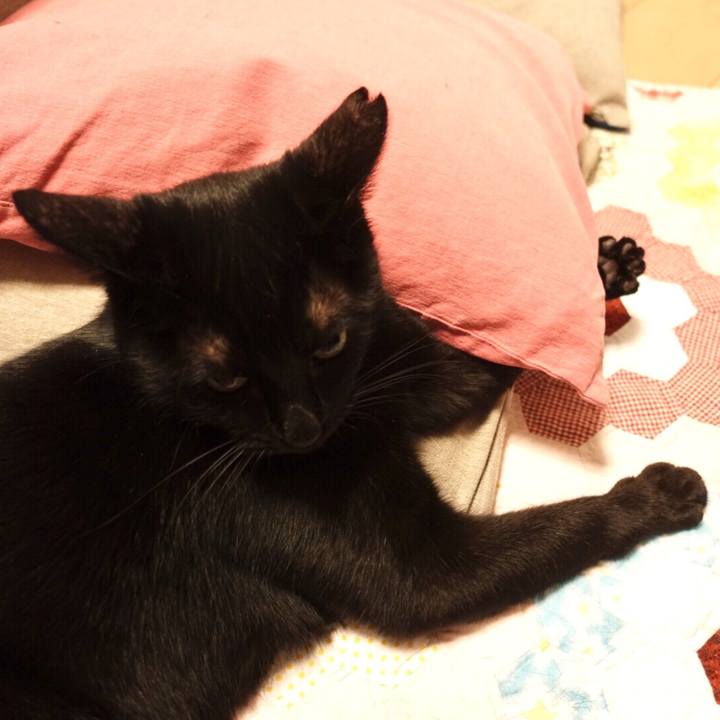 C451d1e1 c6a8 4487 a606 bd00aa25ae82 1533826656341