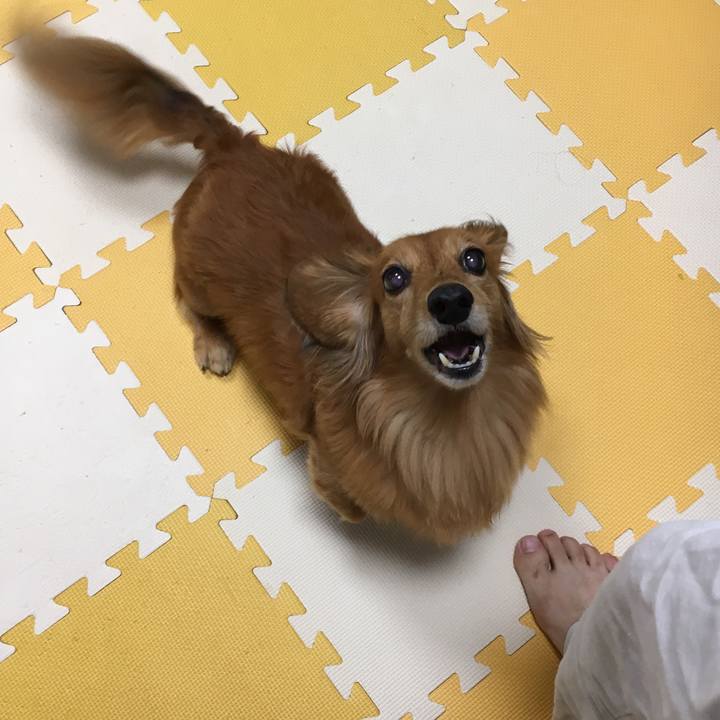 C451f2b5 3d9b 4199 a552 8b84a8ce2d4a 1561989601944