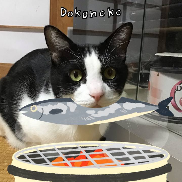 C45250ca 34c1 425c bc25 f718a2c1800f 1761651582150