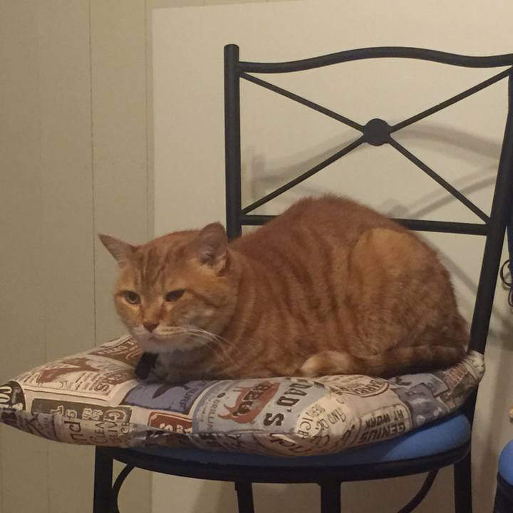 C4527863 6f2d 4607 b243 36ddac4e3f08 1561467043173