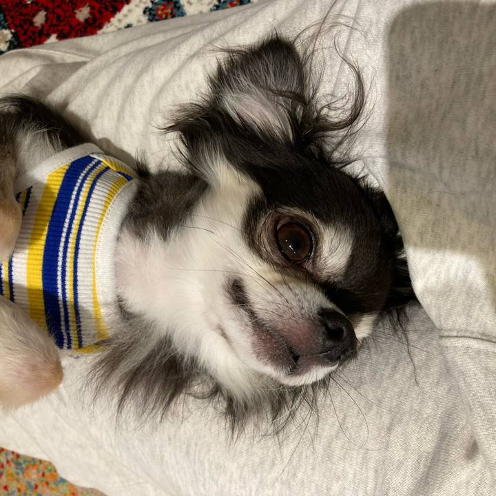 C45289bc 54a7 4a36 bc18 9cd4f94197bd 1713096561733