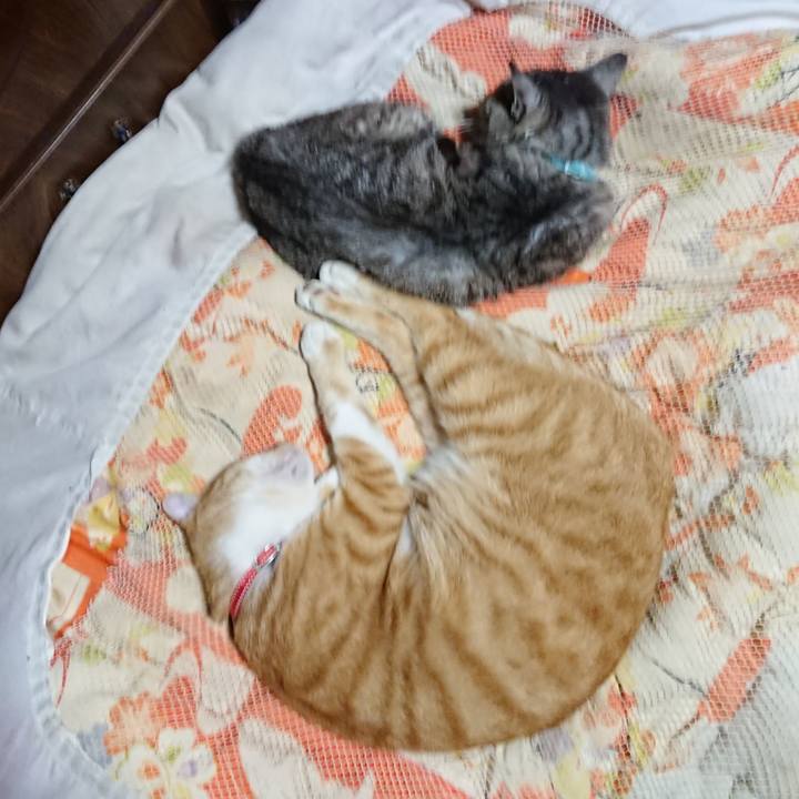 C452a2a2 d000 4938 8c39 bc3d92231257 1569674336870