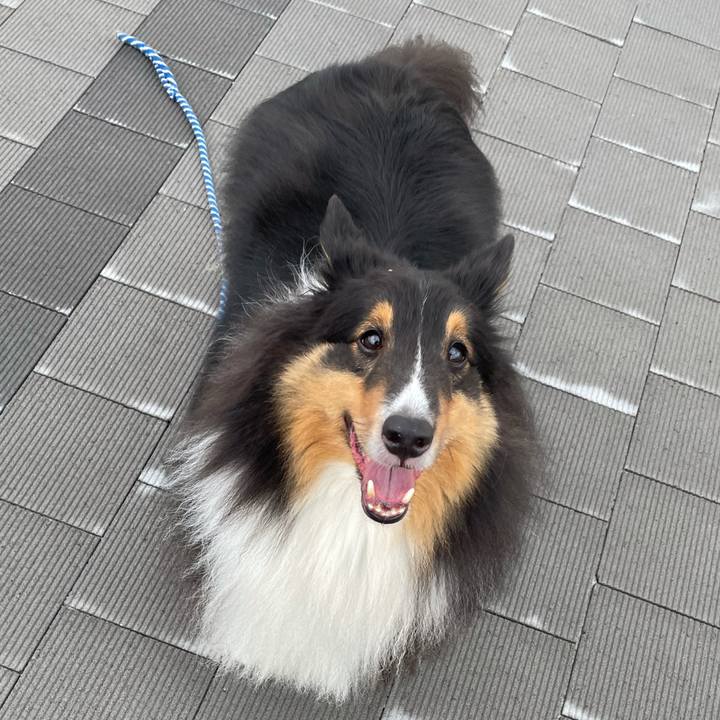 C452e872 adfa 43ec 93f5 f73f898ba328 1628983256569