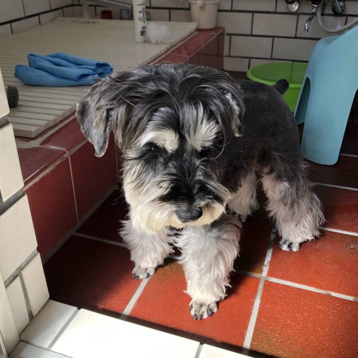 C452f0cb 0607 4757 813f d21109a25503 1679196021271