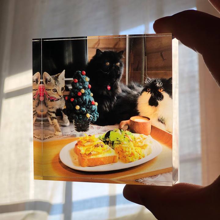 C4530a9a fd45 4915 9af9 bbf5d79d1ca5 1575079874055