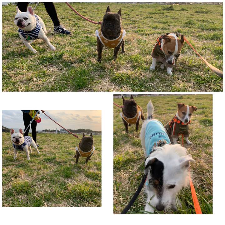 C453216c f943 41e8 9fb9 e274bc1295c1 1585906149189