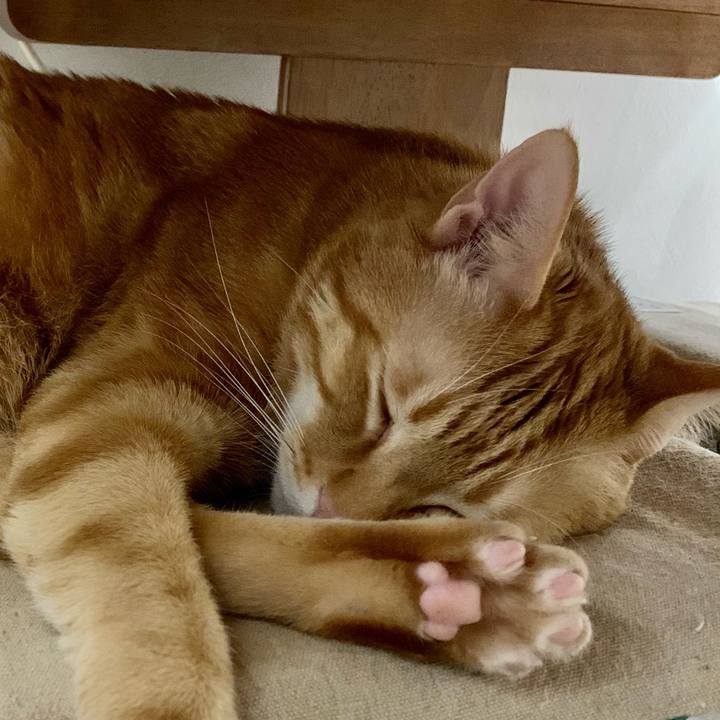 C45333d1 af94 4ae9 8ef5 7d601372f501 1609151434062