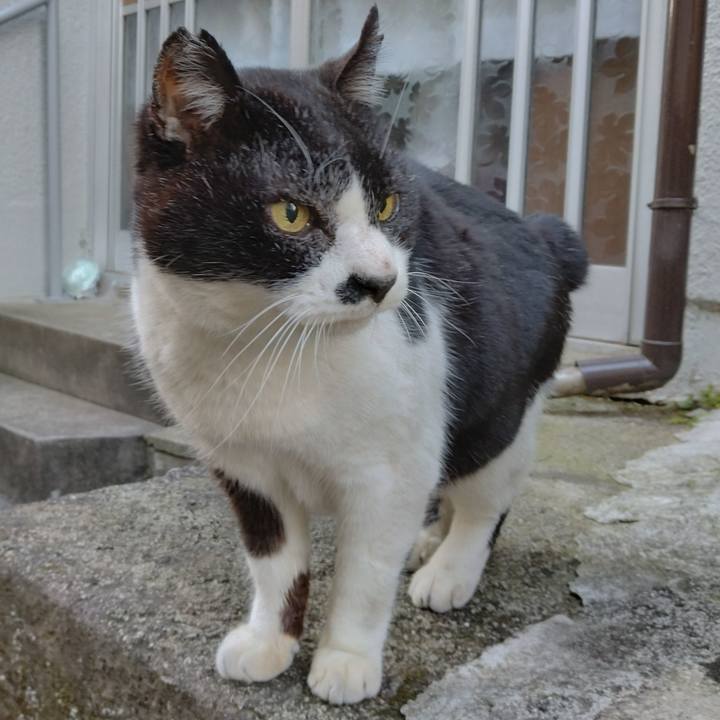 C4533c59 5053 4060 a814 5374b256ea64 1703055297460