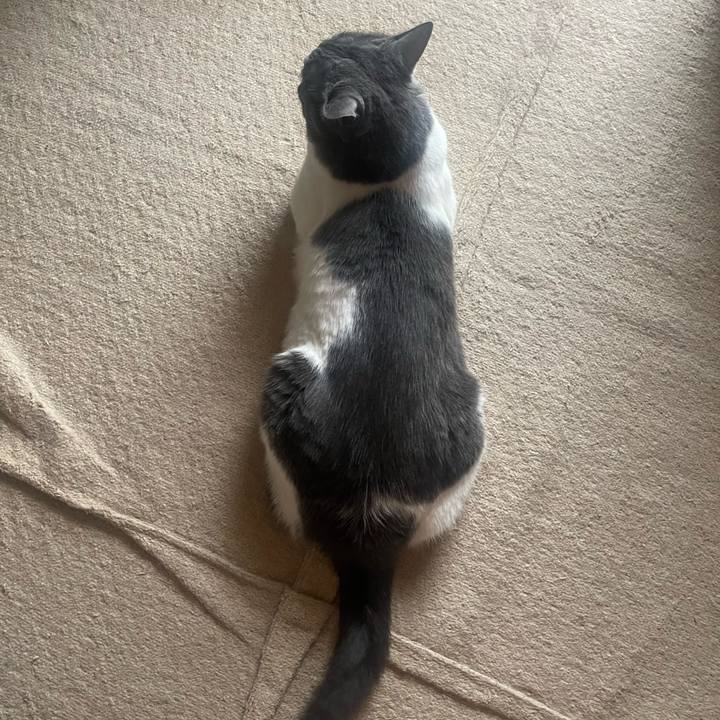 C4538856 b127 4bfa a697 639dbcac7a92 1720473145035