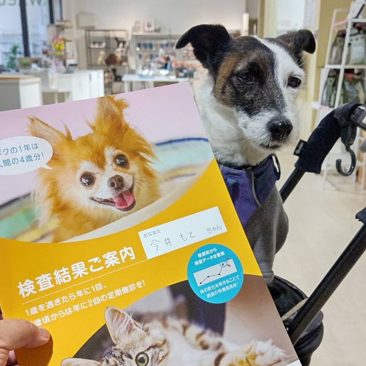 C4538965 7f66 43e6 85e1 1050a0c4e3ee 1677930265233