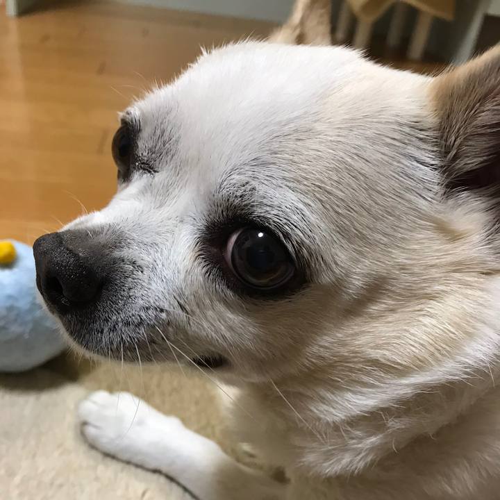 C453a776 fcbf 4d5a b07c 3cf32774219a 1555423066855