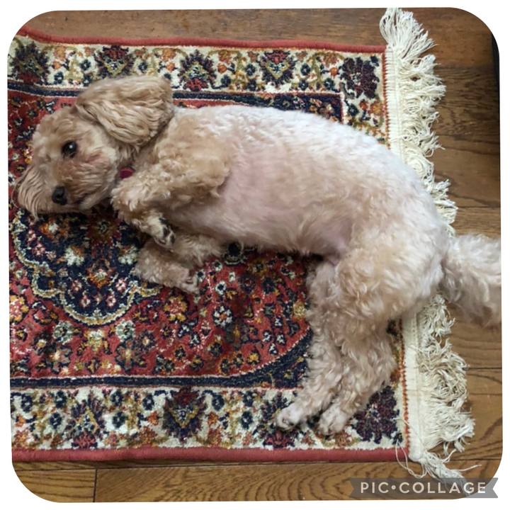 C453c747 8b86 495b bb75 436b9ef6ebdf 1658134537352