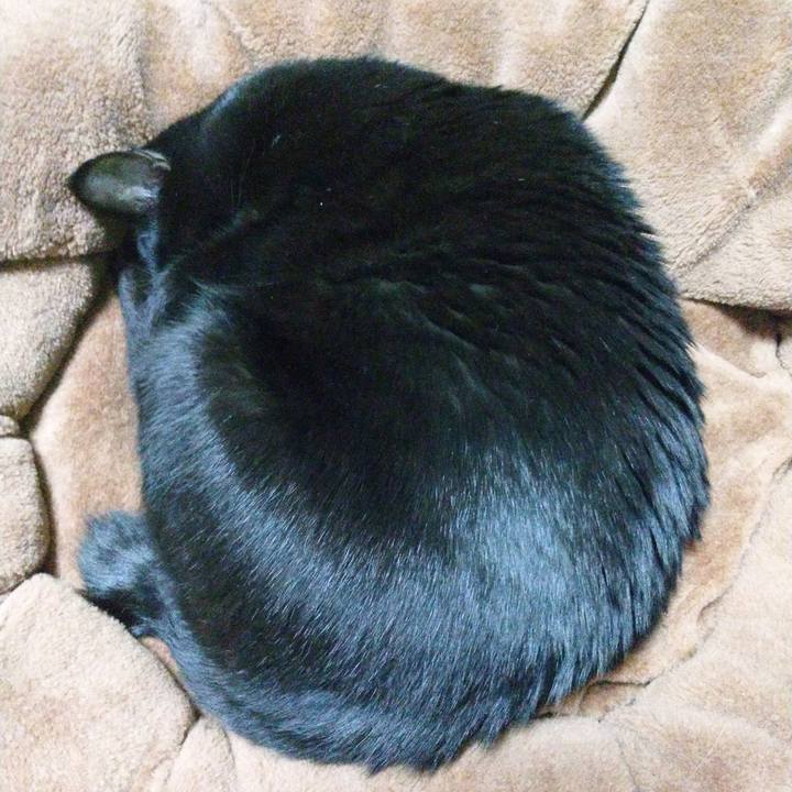 C453f84f fec4 4881 a4a0 4789973acff8 1578843505911