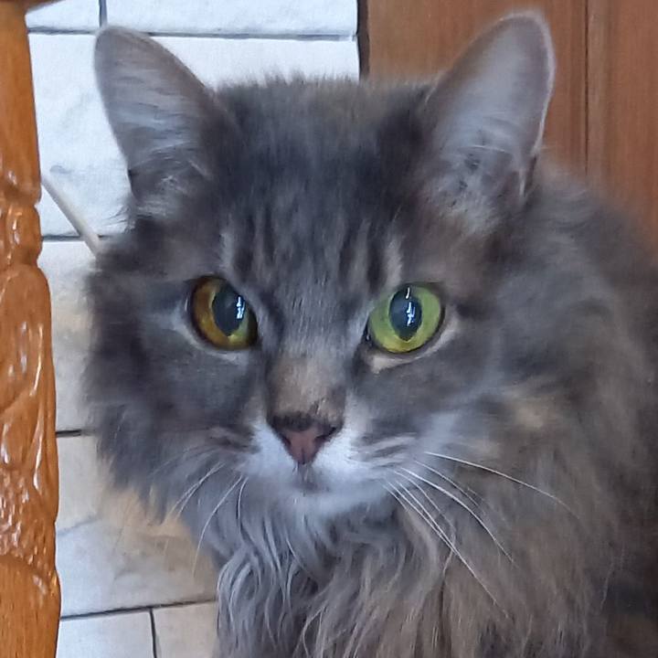 C45416ba e645 4c3d a345 9bbe9610ce46 1650677566674