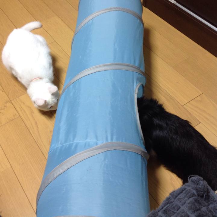 C4543dda 27da 47ab b7e4 448a21b7306e 1627722626052