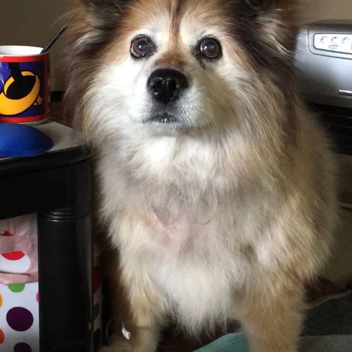 C45493a7 6190 4757 94c8 77d47a6ea327 1593614266306