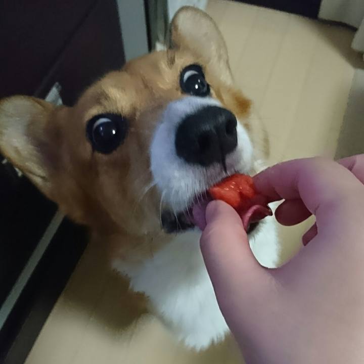 C4549879 946f 46a6 9729 36847366f0be 1534500096165