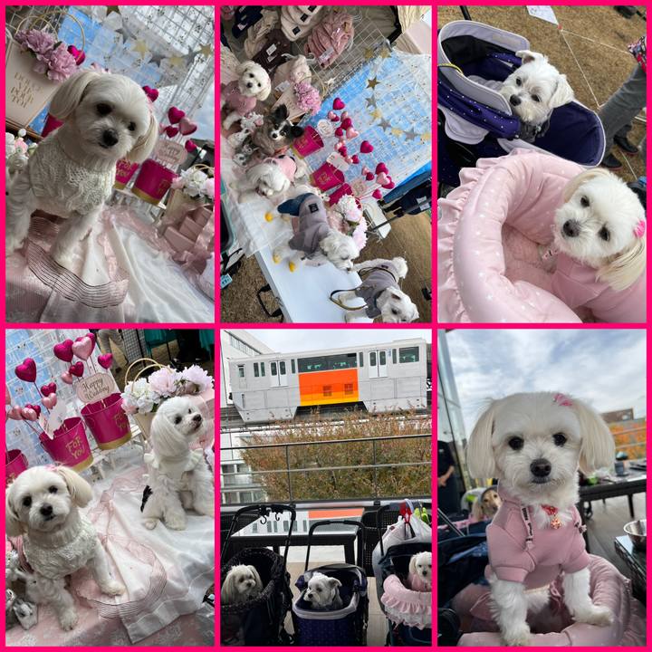 C454c284 dd35 4220 8b23 f6dbcd37525e 1669474072176