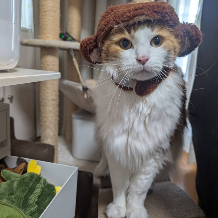 C454df40 221d 47b6 817e 0b0ff61d5a8c 1743133206855