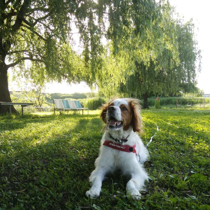 C4551f8e 5e30 4551 96eb 9a6576f84d0f 1527161758146