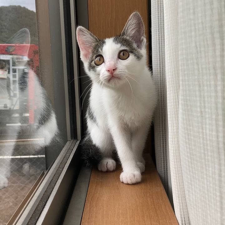 C4552e2c c4c4 4edd af2d 92ff8bda0c48 1563142239188