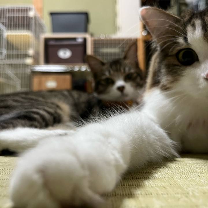 C4555bf9 a1ba 4045 9cc3 e464b6ae0aa3 1721976268266